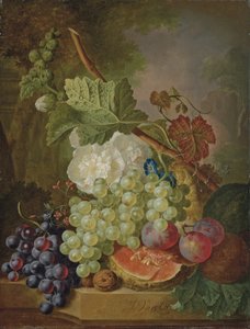 Blommor, vindruvor, plommon, valnötter och en melon på en stenavsats av Jan van Os