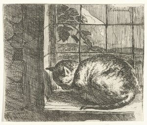 Katt i fönsterkarmen av Jan van Ossenbeeck