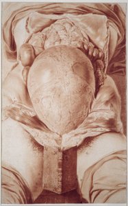 MS Hunter 658 Platta XXVI Teckning från William Hunters (1718-83) "Anatomy of the Human Gravid Uterus", 1774 (krita på papper) av Jan van Rymsdyk