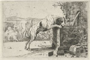 Hund vid en fontän Djur (serietitel) Zoographiam (serietitel)