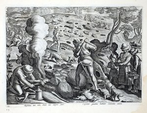Jaktkaniner, illustration från 