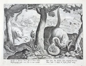 Orm som används vid elefantjakt, illustration från 