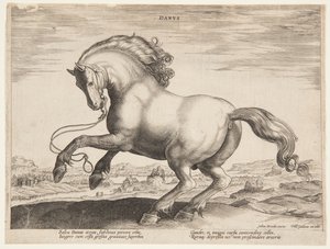 En dansk häst, från den fjärde uppsättningen av "Equile Joannis Austriaci" av Jan van der Straet, called Stradanus