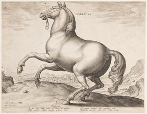 En fransk häst, från den första uppsättningen av "Equile Joannis Austriaci" av Jan van der Straet, called Stradanus