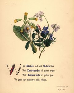 Tusenskönor, violer, dammsugare och gökblomster av Jane Elizabeth Giraud