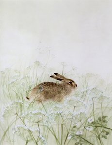 Kanin av Jane Neville
