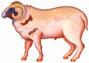 Aries the Bag, 1996, (bläck och gouache) av Jane Tattersfield