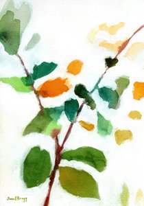 Botanisk bild från innergården, ca 2023 (vattenteknik på papper)