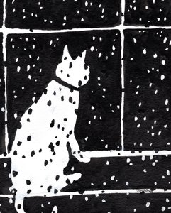 Katt i fönster under snöstorm, ca 2019 (bläck på papper)