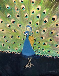 Peacock at Woodland Park Zoo, ca 2024 (blandteknik på papper) av Janel Bragg