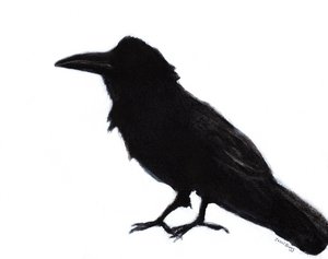 Raven at Baker Beach, ca 2023 (blandteknik på papper) av Janel Bragg
