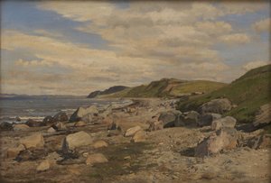 Strandavsnitt vid Helgenæs