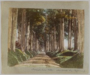 Imaichi Road, Nikko, Japan (handfärgat svartvitt foto) av Japanese Photographer