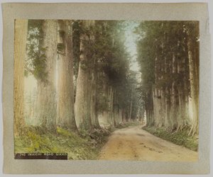 Imaichi Road, Nikko, Japan (handfärgat svartvitt foto) av Japanese Photographer
