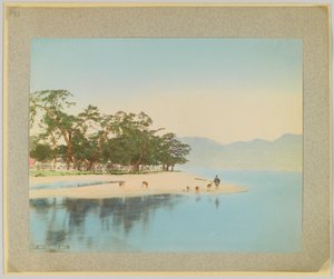 Miyajima, Japan (handfärgat svartvitt foto) av Japanese Photographer