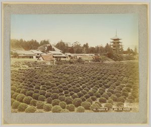 Pagoda of Toji and Tea Garden, Kyoto, Japan (handfärgat svartvitt foto) av Japanese Photographer