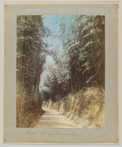Väg genom en bambulund, Japan (handfärgat svartvitt foto) av Japanese Photographer
