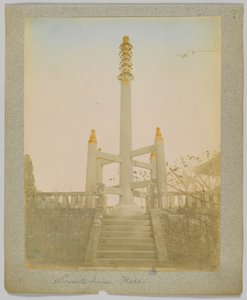 Sorento Tower, Nikko, Japan (handfärgat svartvitt foto) av Japanese Photographer