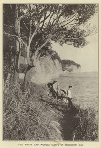 De vita och trädbevuxna klipporna i Mississippi Bay av Japanese Photographer