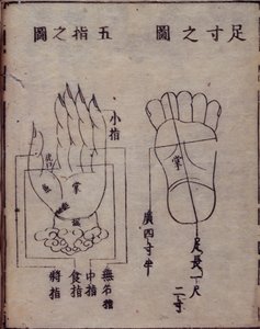 16029.b.5 fol.15v Diagram som visar akupunkturpunkter i händer och fötter, från en japansk kommentar till ett kinesiskt verk om akupunktur, Shisijing fahui från 1341 av Hua Shou, Kyoto av Japanese School
