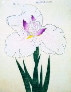 Grund. -Kasumi Arimura. 43, 1898 av Japanese School