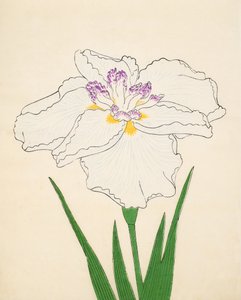 Cho-Hiyen, nr 91, 1890 (träblock i färg) av Japanese School
