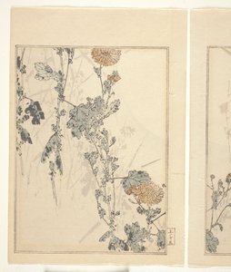 Krysantemum (träblock i färg) (se även 374401) av Japanese School