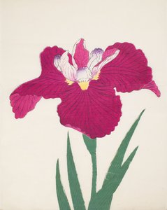 Date-Dogu, nr 2, 1890 (trätryck i färg) av Japanese School