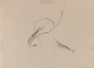 Ritning av två kräftor (bläck på papper) av Japanese School