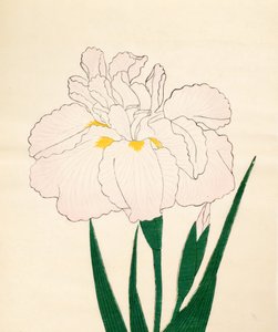En-Yo-No-Ten, nr 73, 1890 (trätryck i färg) av Japanese School