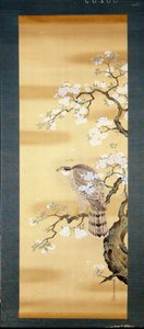 Falk på en gren av japanska körsbär blommade. Sidenmålning från 1700-talet av Japan. Genua. Museo Chiossone. av Japanese School