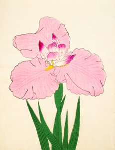 Triumphal, av. 90, 1890 av Japanese School
