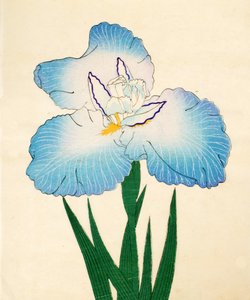 Irojiman, nr 80, 1890 (träblock i färg) av Japanese School