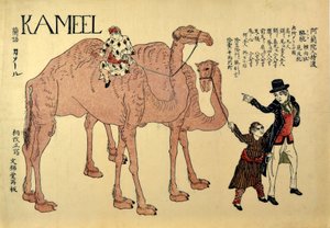 Kameel, pub. 1821 (färgat träsnitt) av Japanese School