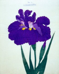 Barnfödande björn. 14, 1898 av Japanese School