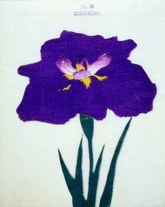 Kappa också. 26, 1898