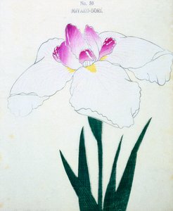 Vad är huvudstaden? 50, 1898 av Japanese School