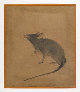 Mus (bläck & sepia på papper) av Japanese School