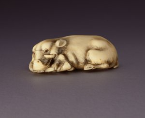 Netsuke föreställande en liggande galt, ca. 1750-80 (narwahl horn) (se även 210190) av Japanese School