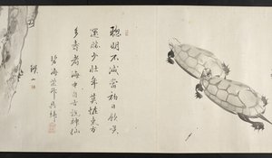 Eller. 14872, f.36, Två sköldpaddor, från Yoshida Seisai (handscroll) av Japanese School