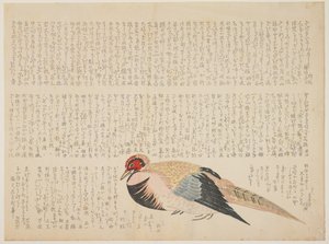 Fasan, ca 1818-29 (träblock i färg) av Japanese School