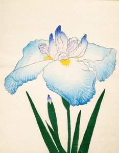 Krusningar av. 68, 1890 av Japanese School