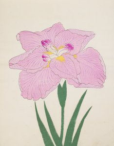Shu-Fu-Raku, nr 58, 1890 (trätryck i färg) av Japanese School