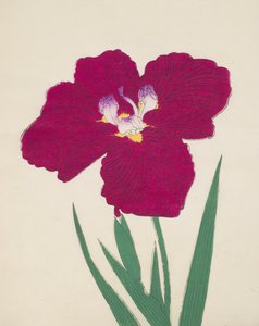 Tai-Hei-Raku, nr 18, 1890 (trätryck i färg) av Japanese School