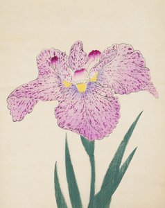 Tanka-No-Koe, nr 15, 1890 (trätryck i färg) av Japanese School