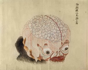 Hjärnans anatomi från dissektionen av ett tortyroffer från 1796, från en makimono av en Midori-läkare, 1842 (penna & bläck och wc på papper) av Japanese School