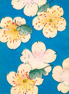 färg träblock tryck av Dogwood Blossoms av Japanese School