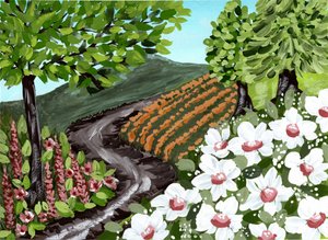 Vingårdsstig med blommor