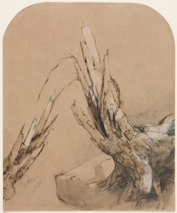 Ett sprängt träd, 1851. av Jasper Francis Cropsey