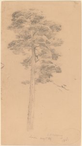 Tall av Jasper Francis Cropsey